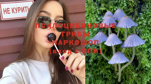 стафф Бронницы